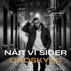 Når Vi Siger Undskyld